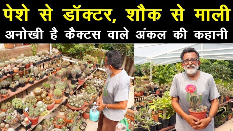 कैक्टस की दुनिया! छत पर लगाए 5 हजार से ज्यादा कैक्टस