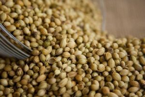 coriander-seeds-food-ingredient