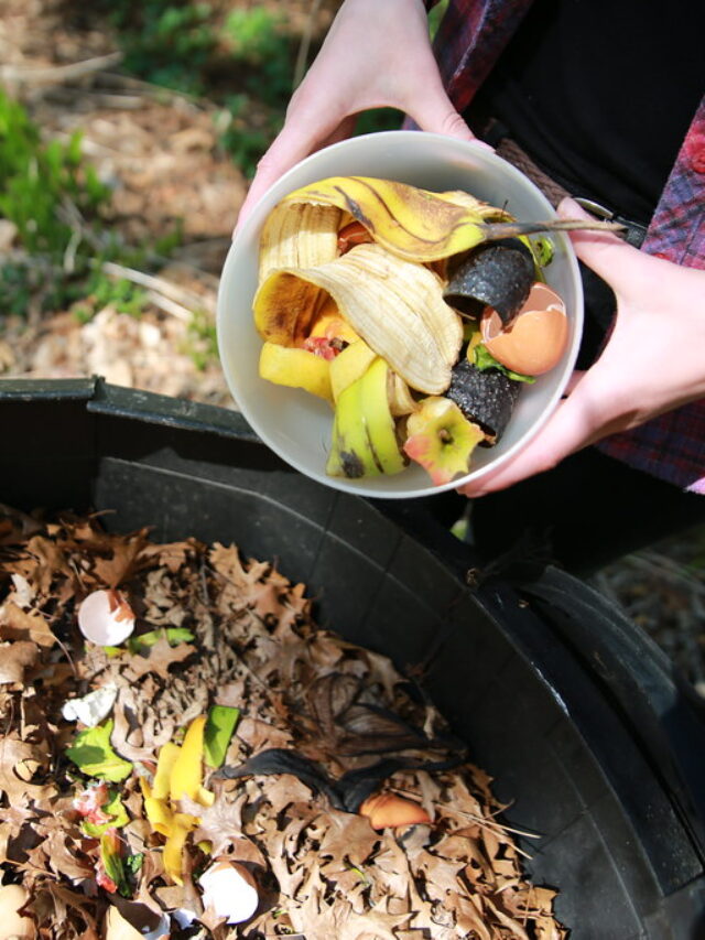 5 स्टेप में किचिन वेस्ट से तैयार करें उत्तम खाद