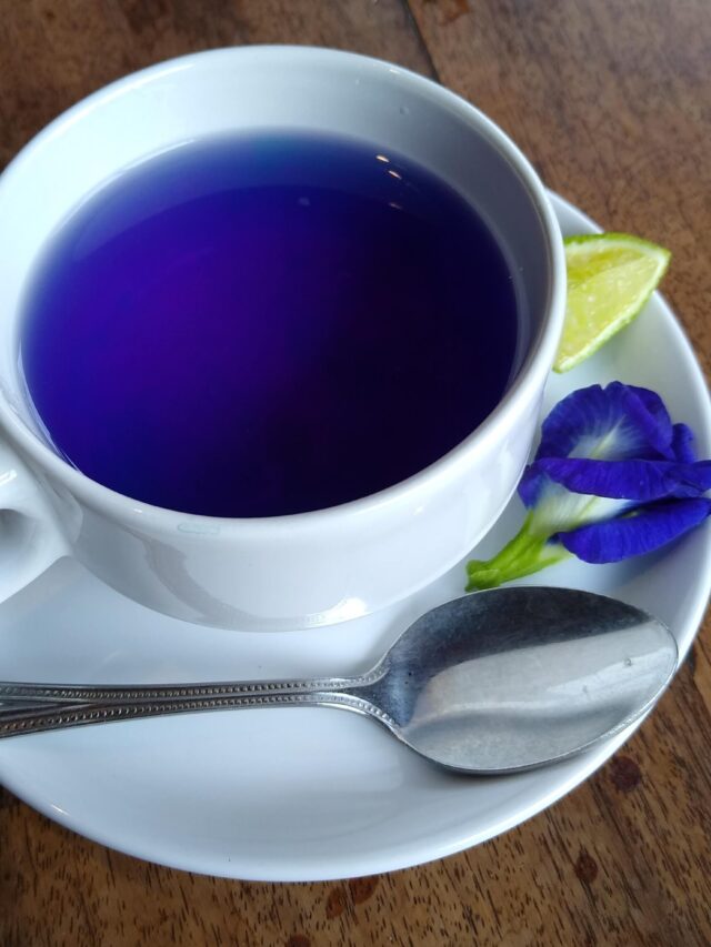 Blue tea: इस आसान तरीके से बनाएं अपराजिता के फूलों की चाय