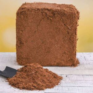 nurserylive-coco-peat-collection-image_600x600