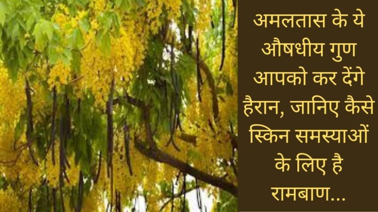 अमलतास के फूलों का इस प्रकार से यूज स्किन को बनाता है ग्लोइंग