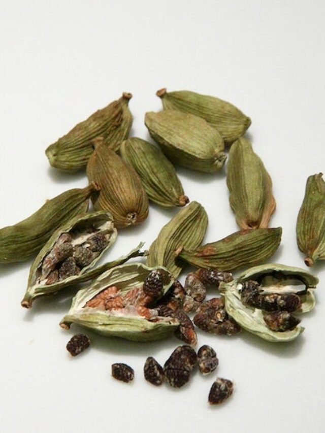 गमले में इस आसान तरीके से लगाएं इलायची, फलों से लदेगा पौधा….