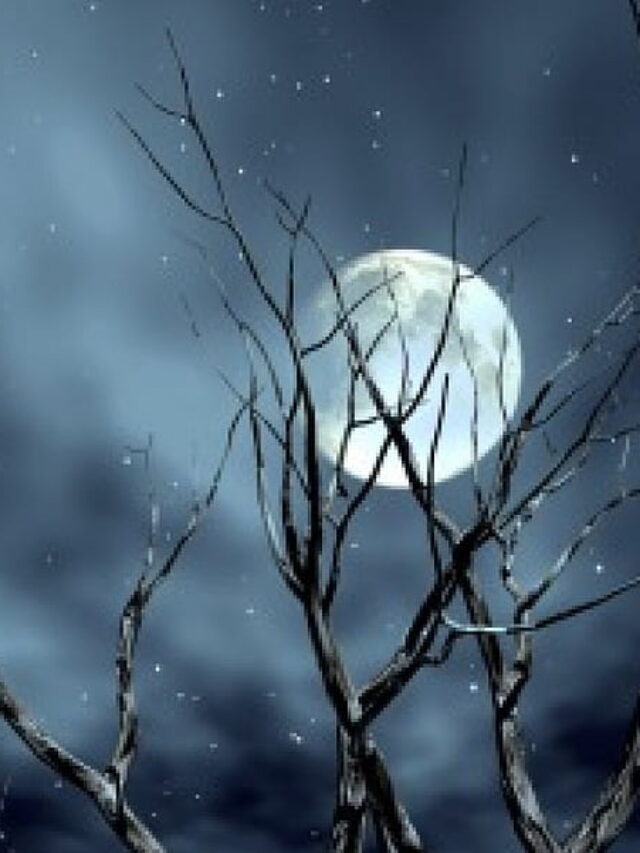 चंदा को मामा क्यों कहते हैं, जानिए दिलचस्प तथ्य