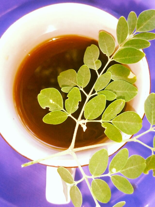Moringa tea: तोंद को कम करने के साथ दिन भर ताजगी देगी मोरिंगा चाय
