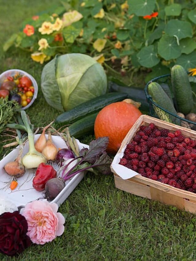 मार्च के महीने में उगाएं ये सब्जियां