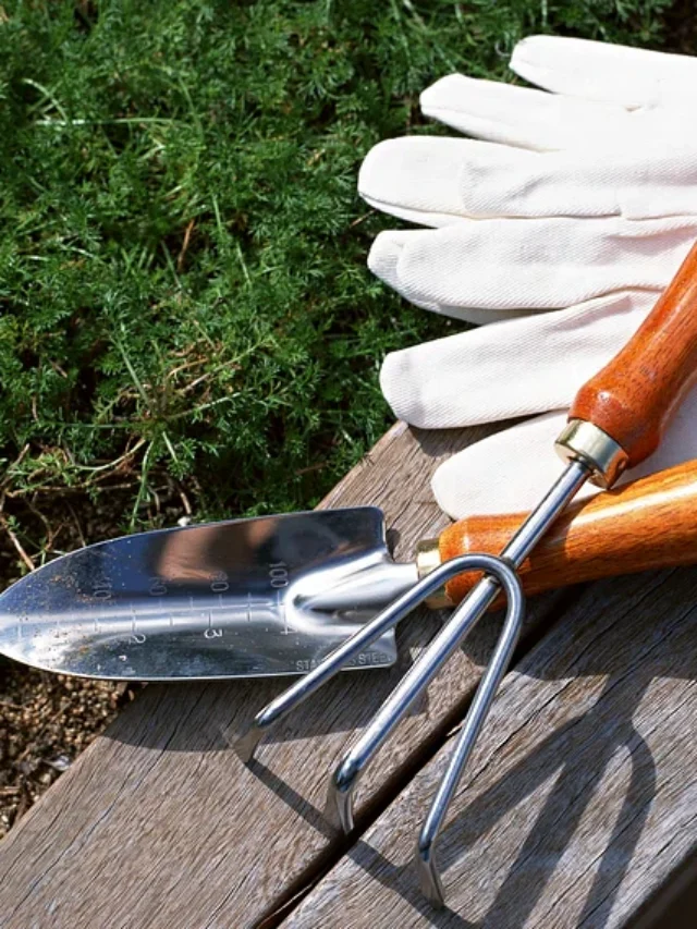 ये 10 गार्डनिंग टूल्स बागवानी को कर देंगे आसान