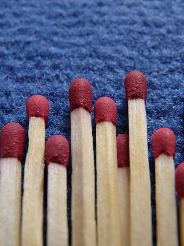 पौधों की अच्छी ग्राेथ के लिए गमलों में रखें माचिस की तिल्ली