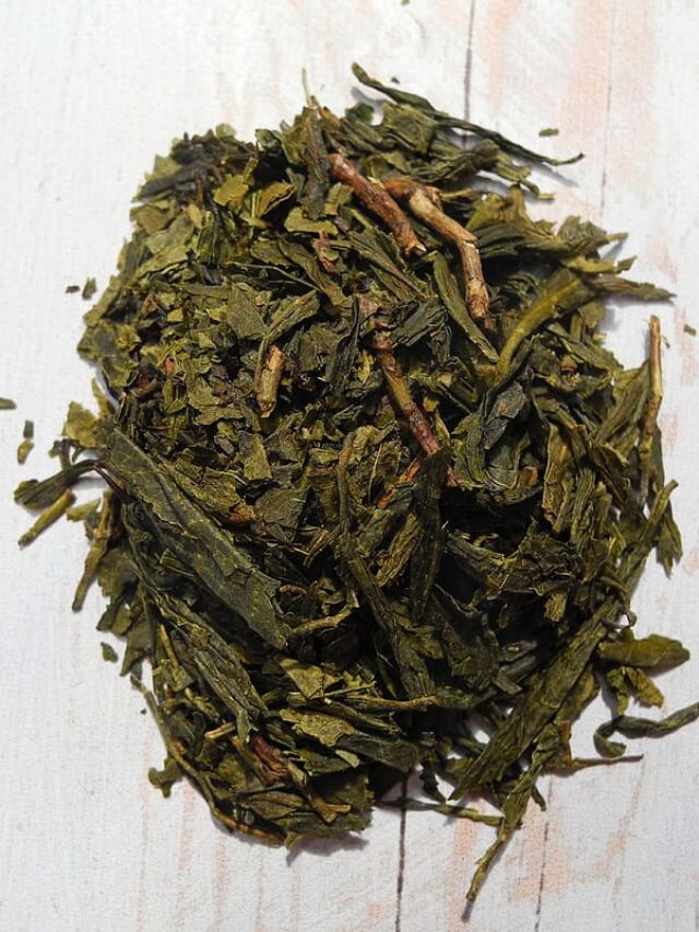 पौधों की ग्रोथ के लिए ग्रीन टी को गमले में इस तरह करें यूज