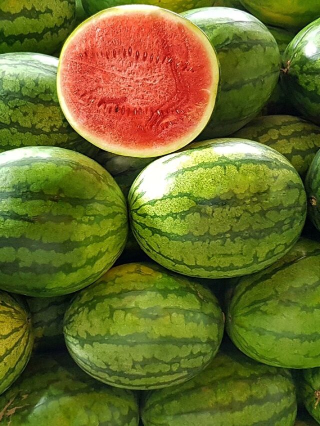 5 हजार साल पुराना है तरबूज का इतिहास, हो चुकी है इस फल के लिए बड़ी जंग