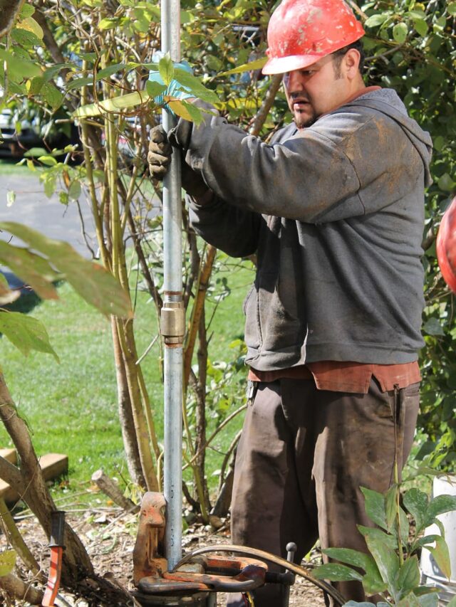 प्रूनिंग से अलग होती है हार्ड प्रूनिंग, जानिए पौधों के लिए क्यों है जरूरी