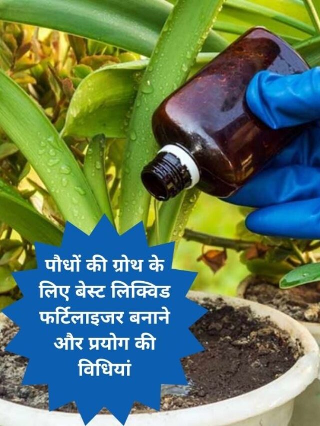 होममेड लिक्विड फर्टिलाइजर से दो दिन में बढ़ाएं पौधों की ग्रोथ