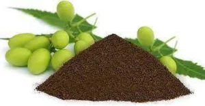 organic-fertilizer-neem-cake-powder-neem-khali-powder-for-plants-original-imagbu3hnazxmuzq