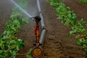 water-sprinklers-irrigation-field-artificial