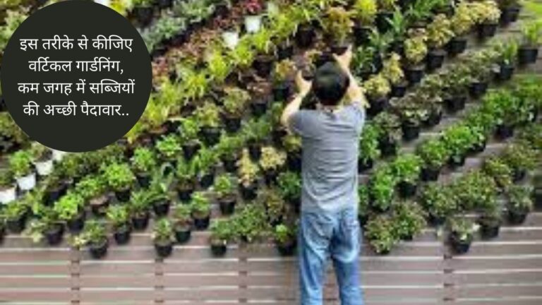 Vertical Gardening- दीवारों पर फलों और सब्जियों की बेहतर पैदावार लीजिए