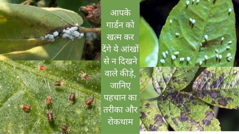 insects on plants-ये कीट गार्डन को कर देगें तहस-नहस,जानिए बचाव के तरीके