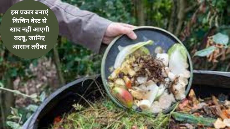 compost- ग्रीन और ब्राउन के कॉबिनेशन से ऐसे बनाएं खाद नहीं आएगी बदबू