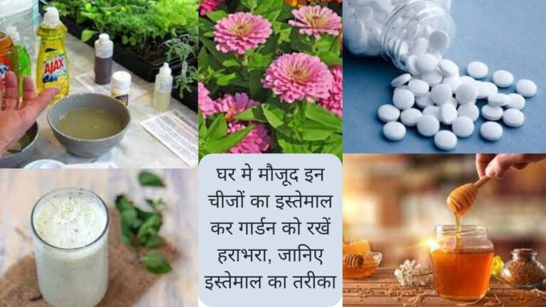 घर में रखी इन चीजों का इस्तेमाल कर गार्डन को बनाएं हराभरा