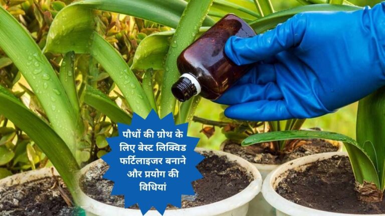 Liquid fertilizer- घरेलू पौधों के लिए बेस्ट लिक्विड फर्टिलाइजर बनाने की विधियां