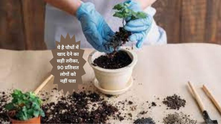 method of fertilization- खाद देते समय इन गलतियों को करने से बचें