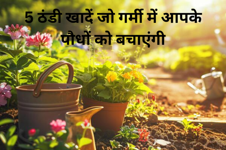 Cool Compost: 5 ठंडी खाद जो आपके पौधों को गर्मी से बचाएंगी