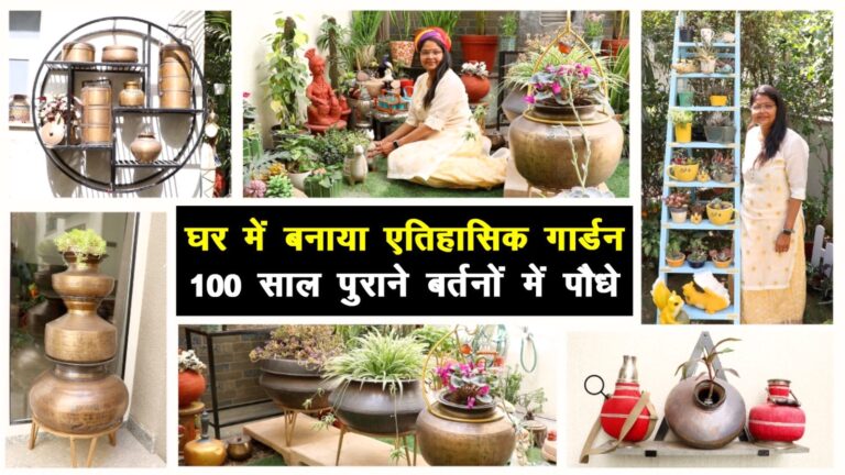 Vintage Garden: विरासत में मिले सदियों पुराने बर्तनों में उगाए पौधे