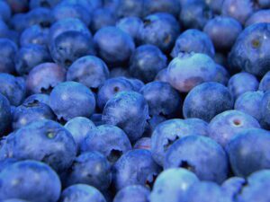 blueberries-blueberry-fruit-food-preview