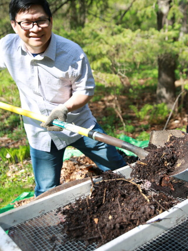 Cool Compost: 5 ठंडी खाद जो आपके पौधों को गर्मी से बचाएंगी