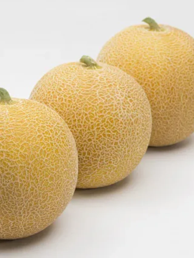 खरबूजा – त्वचा, बालों और स्वास्थ्य के लिए अद्भुत है ये गर्मियों का फल