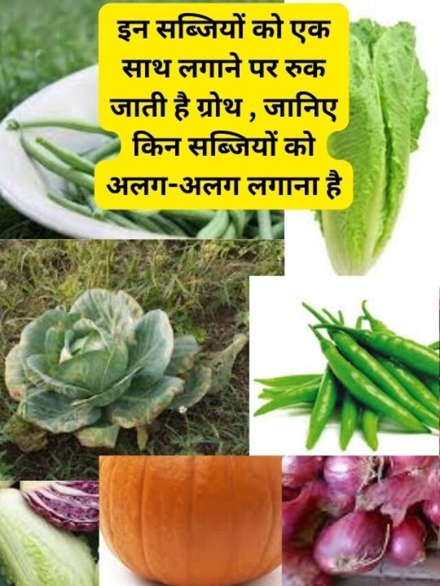 इन सब्जियों को साथ में लगाने से नहीं होती पैदावार