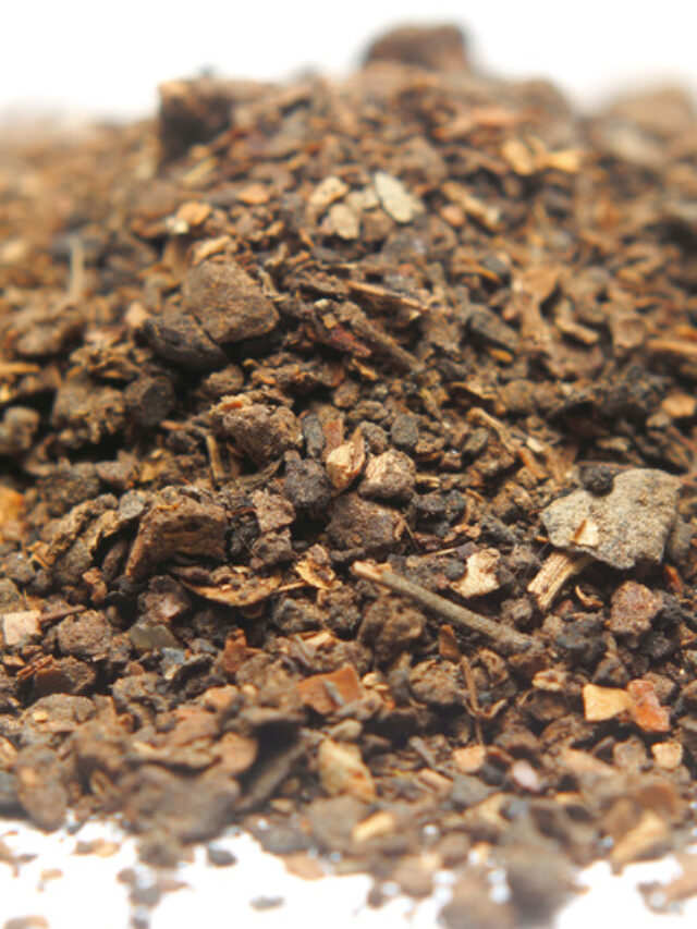 Neem Khali:  7 Step में घर पर ही बनाएं सबसे शक्तिशाली खाद