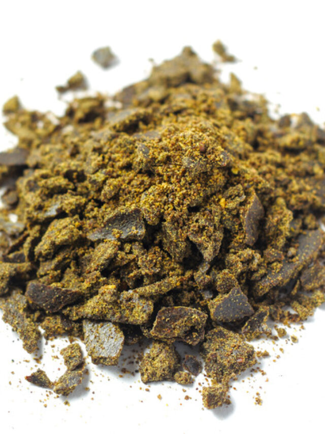 क्या गर्मी में भी पौधों में डाल सकते हैं सरसों की खली? यहां मिलेगा सही जबाव