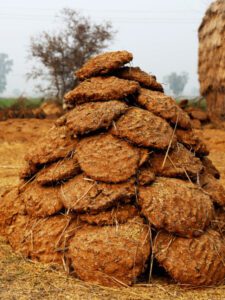 Cow Dung Cakes