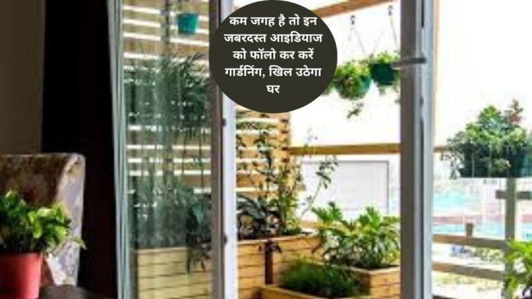 Gardening ideas- कम जगह में गार्डनिंग करने के लिए बेस्ट आइडिया