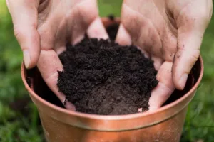 Gardener-Filling-a-Container-with-Potting-Soil