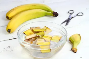 How-to-Make-Banana-Peel-Fertilizer-at-Home-for-Your-Garden-19535-b837f9356e-1594843697