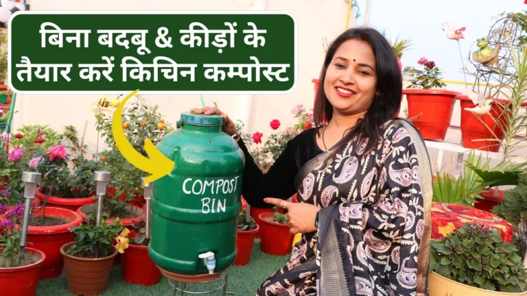 Kitchen compost: बिना बदबू और कीड़ों के तैयार करें किचिन कम्पोस्ट