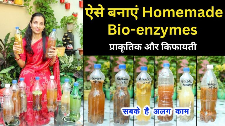 Bio enzymes: बड़े काम की है बायो एंजाइम बनाने की यह विधि, गार्डन में डाले नई जान