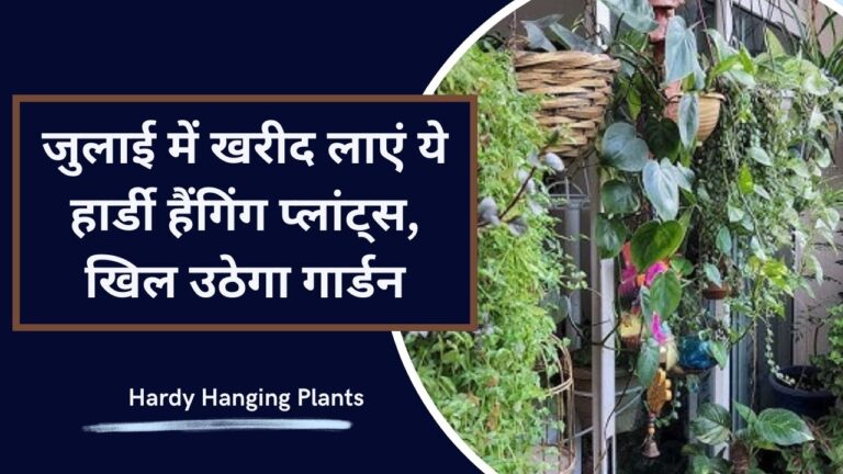 Hardy Plants- 33  हार्डी हैंगिंग प्लांट्स हर मौसम में गार्डन को रखेंगे हरा