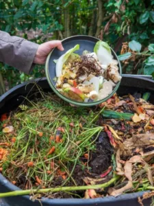 depositphotos_325182246-stock-photo-woman-throwing-compost-kitchen-waste