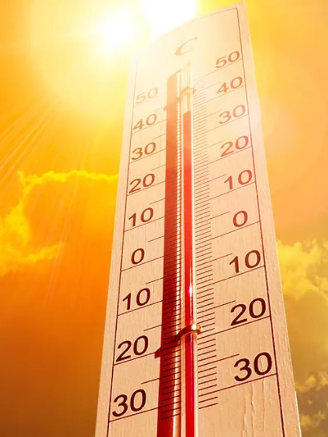 Beat the heat: कमरे के तापमान को 5 से 7° F कम कर देंगे ये 5 पांच प्लांट