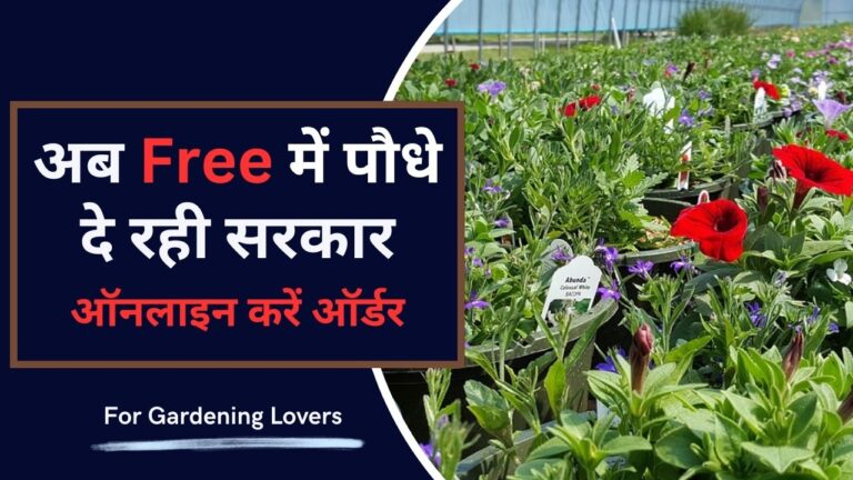 Free plants: बागवानी के शौकीनों को फ्री में पौधे बांट रही सरकार, ऑनलाइन करें अप्लाई