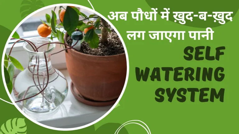 Self Watering System- कबाड़ से सेल्फ वाटरिंग सिस्टम तैयार