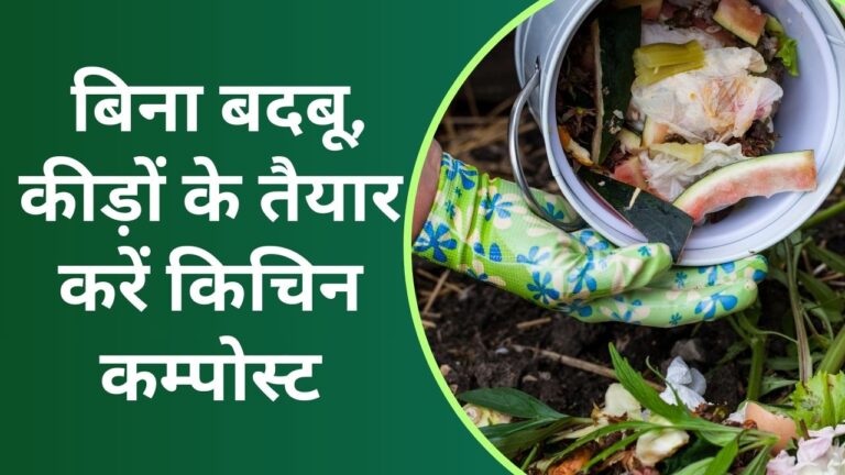 Kitchen compost: इस जुगाड़ से किचिन कम्पोस्ट से नहीं आएगी बदबू, नहीं पड़ेंगे कीड़े