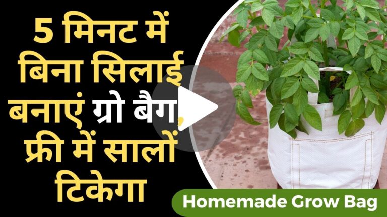 Grow bag: बिना सूई-धागे के 5 मिनट में बनाएं फ्री का ग्रो बैग, सालों साल नहीं होगा खराब