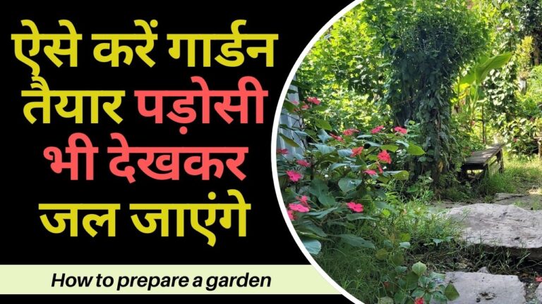 Gardening tips-बगीचे में करें ये शानदार प्रयोग, सुकून के साथ आएगा दोगुना मजा