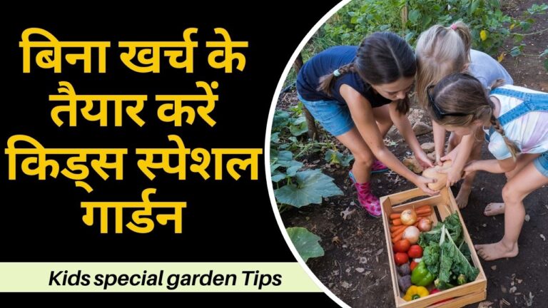 Kids Garden: तैयार करें किड्स स्पेशल गार्डन, हैरान करने वाले फायदे