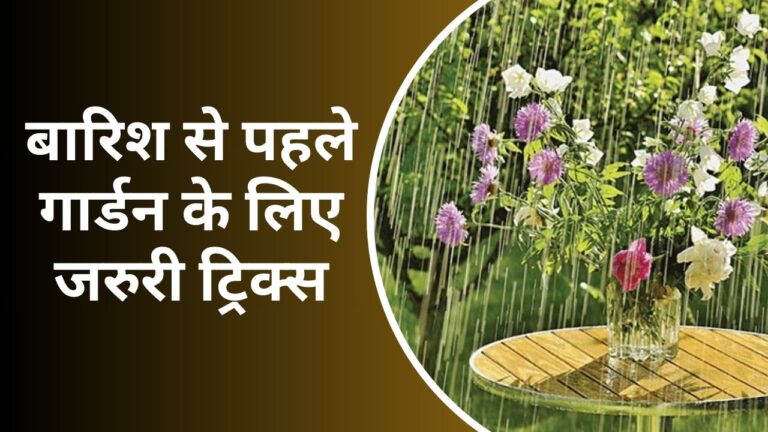 Gardening tips- बारिश से पहले गार्डन के लिए जरुरी और सिंपल ट्रिक,जरुर अपनाएं