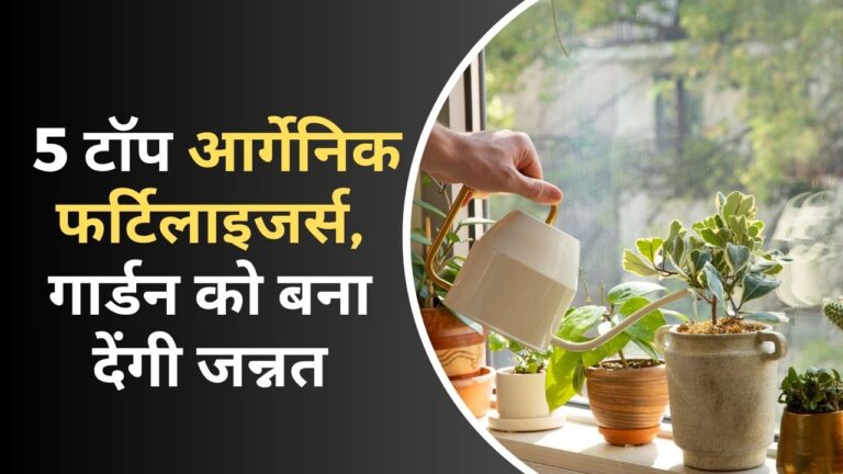 पौधों के लिए टॉप 5 लिक्विड फर्टिलाइजर, जानिए आर्गेनिक-सुपर टॉनिक्स बनाने का प्रोसेस
