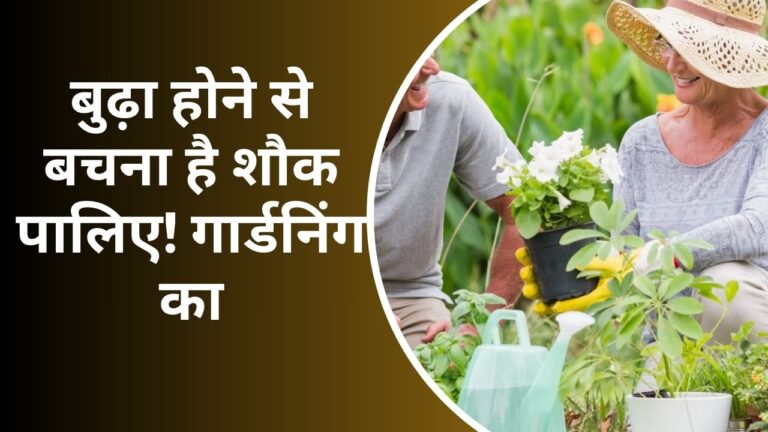 Benefits of gardening- बुढ़ापे में लाठी छोड़ लें गार्डनिंग का सहारा, 99 % बीमारियां हो जाएंगी छूमंतर